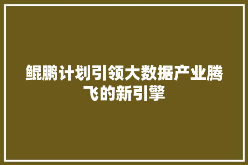 鲲鹏计划引领大数据产业腾飞的新引擎