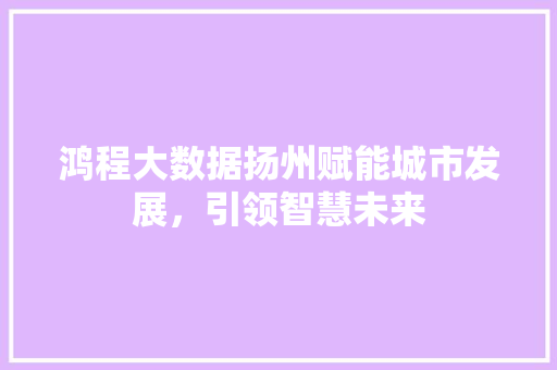 鸿程大数据扬州赋能城市发展，引领智慧未来