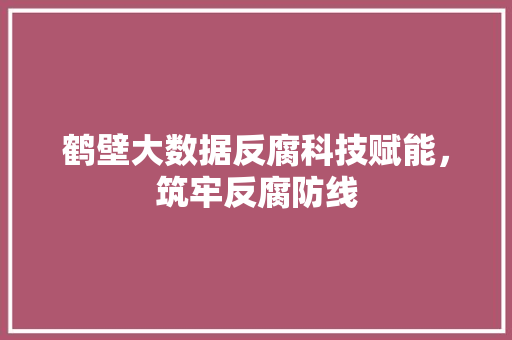 鹤壁大数据反腐科技赋能，筑牢反腐防线