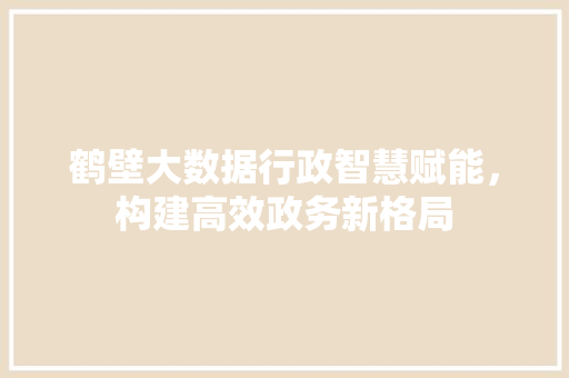 鹤壁大数据行政智慧赋能，构建高效政务新格局