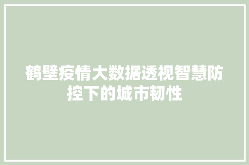 鹤壁疫情大数据透视智慧防控下的城市韧性