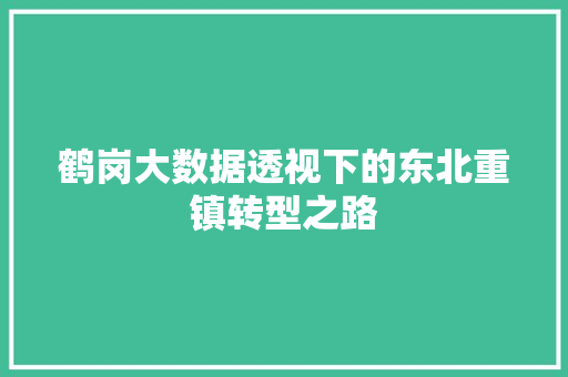 鹤岗大数据透视下的东北重镇转型之路
