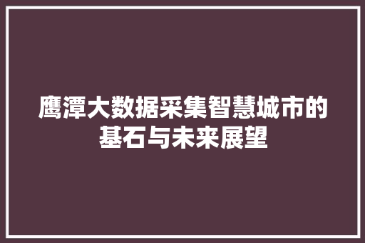 鹰潭大数据采集智慧城市的基石与未来展望 鹰潭大数据采集智慧城市的基石与未来展望