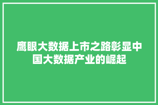 鹰眼大数据上市之路彰显中国大数据产业的崛起 鹰眼大数据上市之路彰显中国大数据产业的崛起