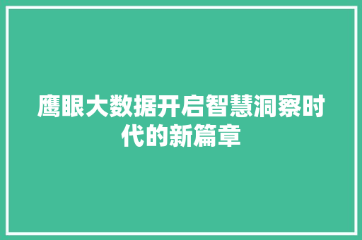 鹰眼大数据开启智慧洞察时代的新篇章 鹰眼大数据开启智慧洞察时代的新篇章