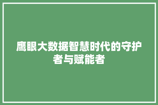 鹰眼大数据智慧时代的守护者与赋能者 鹰眼大数据智慧时代的守护者与赋能者