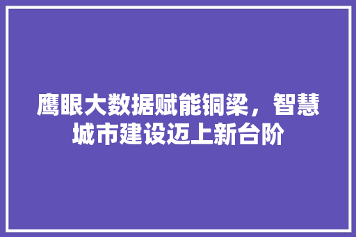 鹰眼大数据赋能铜梁，智慧城市建设迈上新台阶