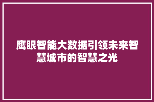 鹰眼智能大数据引领未来智慧城市的智慧之光 电脑故障维修