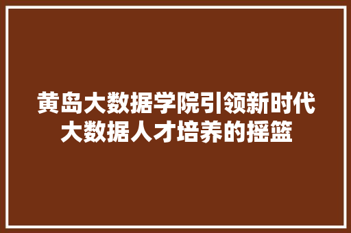 黄岛大数据学院引领新时代大数据人才培养的摇篮