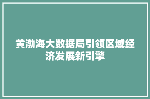 黄渤海大数据局引领区域经济发展新引擎
