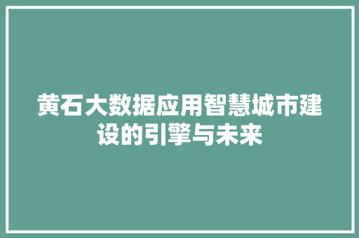 黄石大数据应用智慧城市建设的引擎与未来