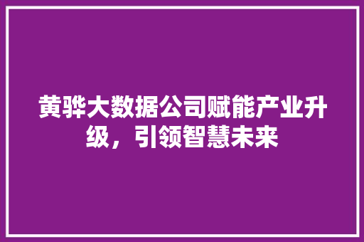 黄骅大数据公司赋能产业升级，引领智慧未来