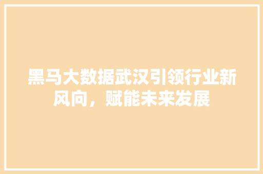 黑马大数据武汉引领行业新风向，赋能未来发展