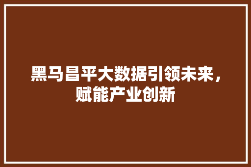 黑马昌平大数据引领未来，赋能产业创新