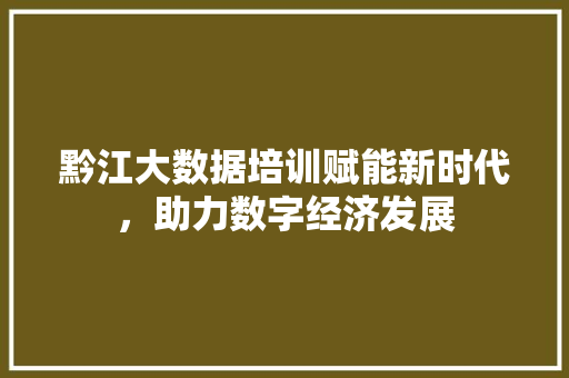 黔江大数据培训赋能新时代，助力数字经济发展 操作系统