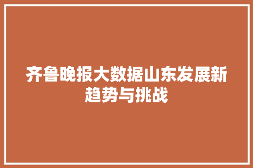 齐鲁晚报大数据山东发展新趋势与挑战
