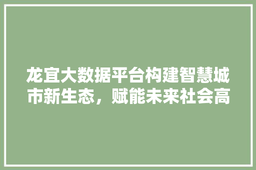 龙宜大数据平台构建智慧城市新生态，赋能未来社会高质量发展
