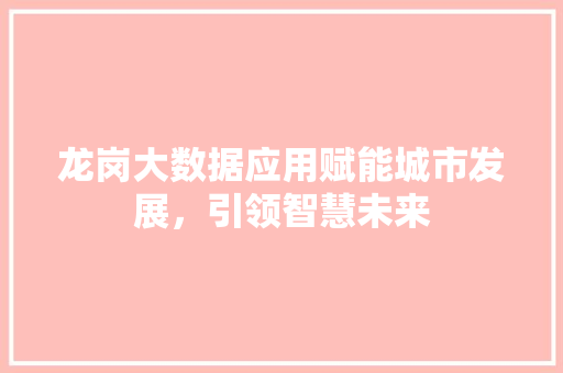 龙岗大数据应用赋能城市发展，引领智慧未来