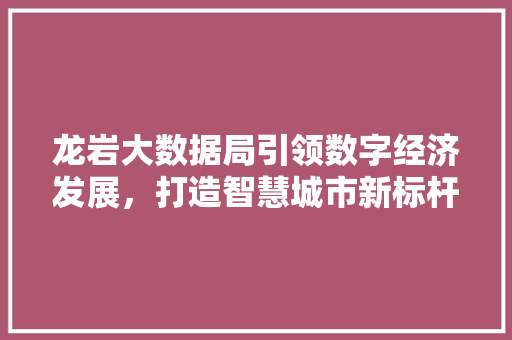 龙岩大数据局引领数字经济发展，打造智慧城市新标杆