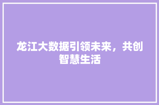 龙江大数据引领未来，共创智慧生活 电脑配置