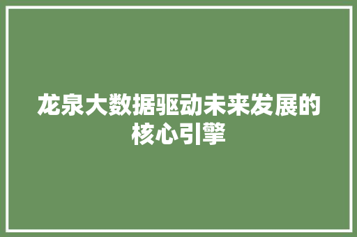 龙泉大数据驱动未来发展的核心引擎 电脑故障维修