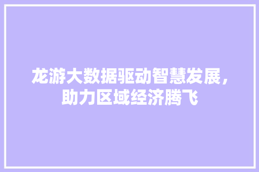 龙游大数据驱动智慧发展，助力区域经济腾飞 电脑配置