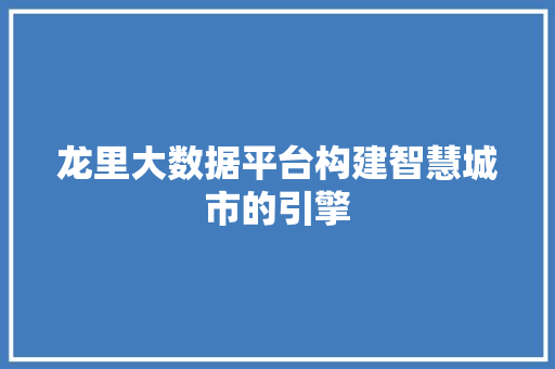 龙里大数据平台构建智慧城市的引擎 编程语言