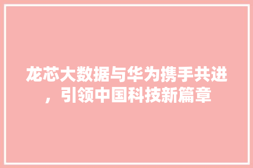龙芯大数据与华为携手共进，引领中国科技新篇章 编程语言