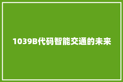 1039B代码智能交通的未来
