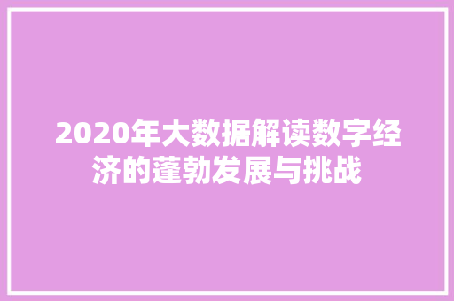2020年大数据解读数字经济的蓬勃发展与挑战