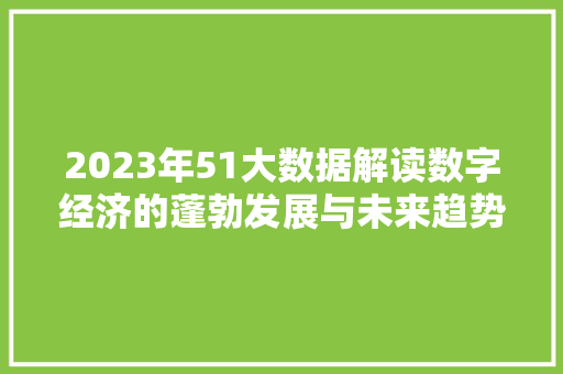 2023年51大数据解读数字经济的蓬勃发展与未来趋势