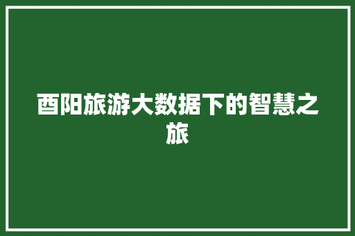 酉阳旅游大数据下的智慧之旅