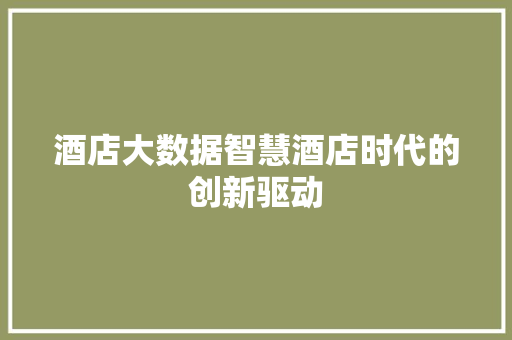 酒店大数据智慧酒店时代的创新驱动