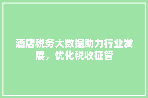 酒店税务大数据助力行业发展，优化税收征管