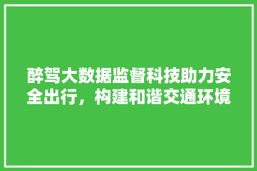 醉驾大数据监督科技助力安全出行，构建和谐交通环境