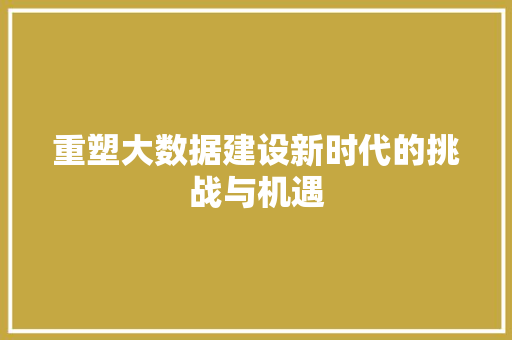 重塑大数据建设新时代的挑战与机遇