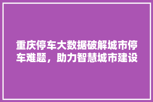 重庆停车大数据破解城市停车难题，助力智慧城市建设