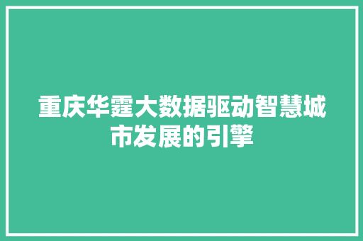 重庆华霆大数据驱动智慧城市发展的引擎