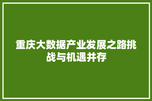 重庆大数据产业发展之路挑战与机遇并存