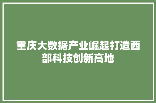 重庆大数据产业崛起打造西部科技创新高地
