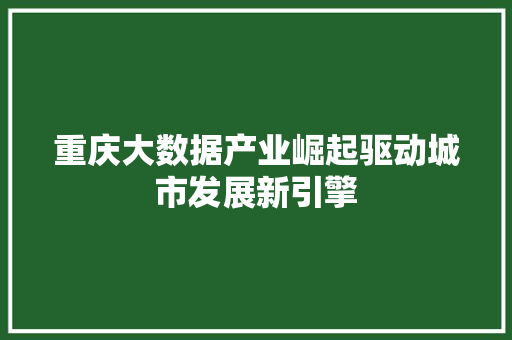 重庆大数据产业崛起驱动城市发展新引擎