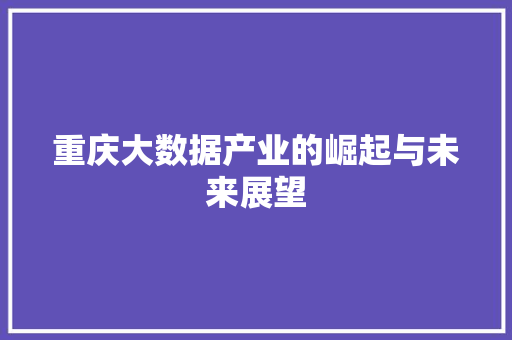 重庆大数据产业的崛起与未来展望