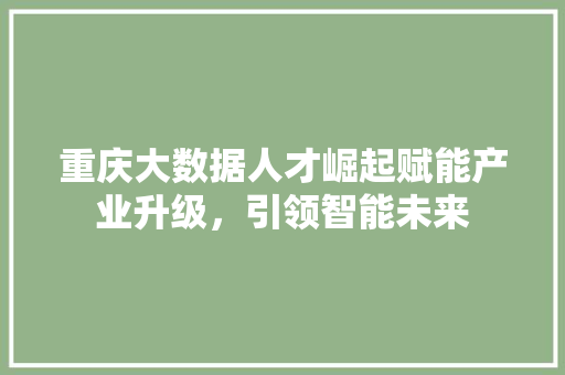 重庆大数据人才崛起赋能产业升级，引领智能未来