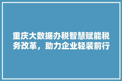 重庆大数据办税智慧赋能税务改革，助力企业轻装前行