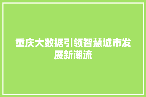 重庆大数据引领智慧城市发展新潮流