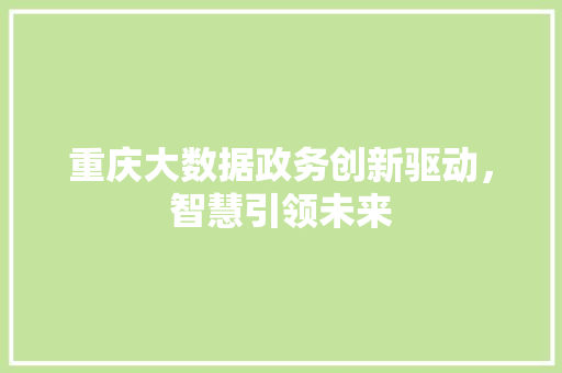 重庆大数据政务创新驱动，智慧引领未来