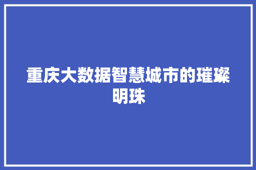 重庆大数据智慧城市的璀璨明珠