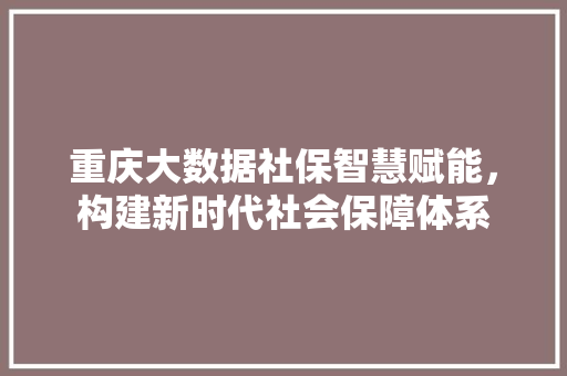 重庆大数据社保智慧赋能，构建新时代社会保障体系