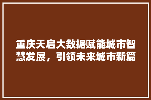 重庆天启大数据赋能城市智慧发展，引领未来城市新篇章