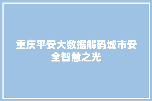 重庆平安大数据解码城市安全智慧之光